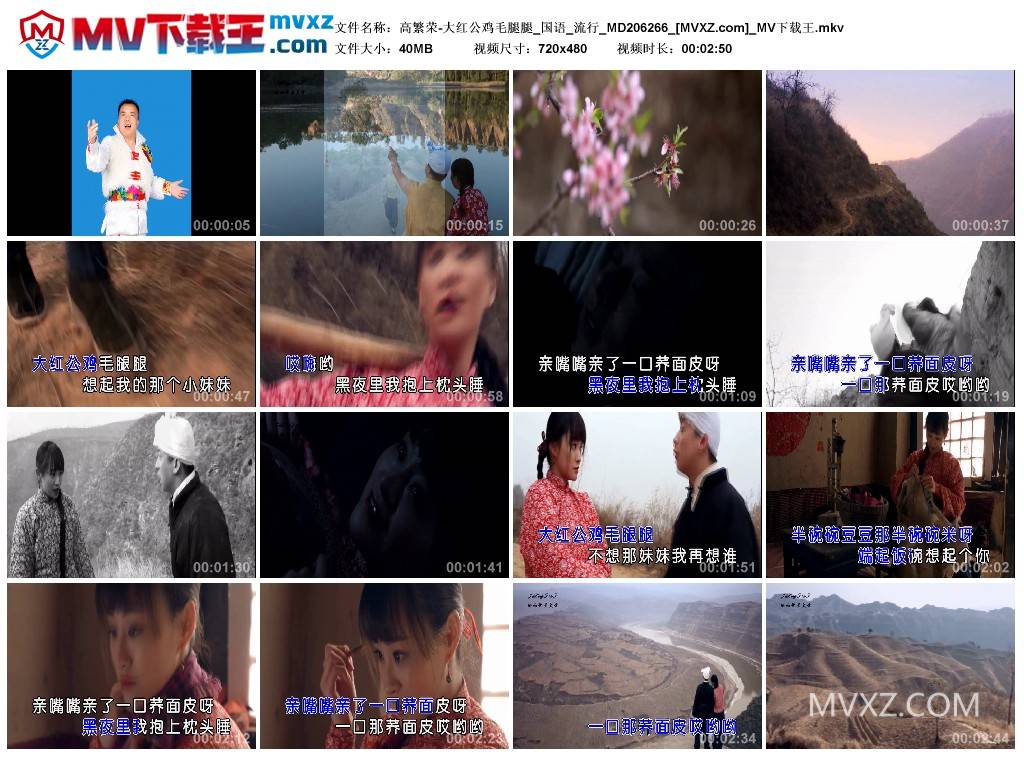 高繁荣-大红公鸡毛腿腿_国语_流行_MD206266